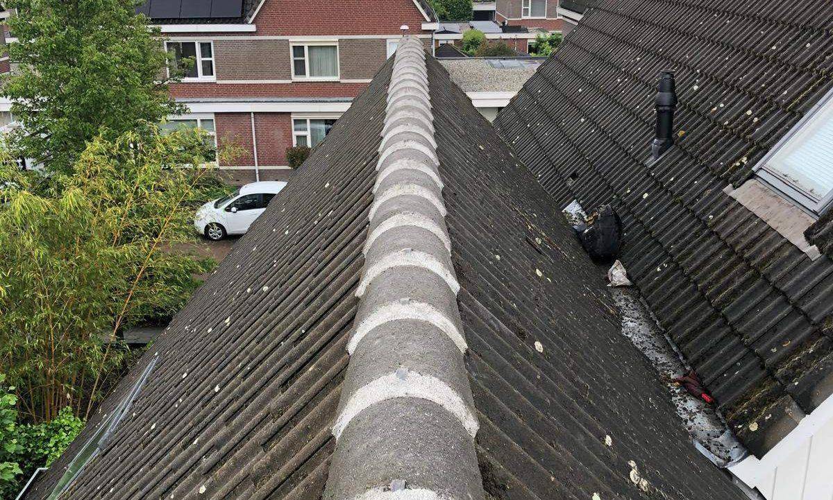 Nokvorsten Alkmaar